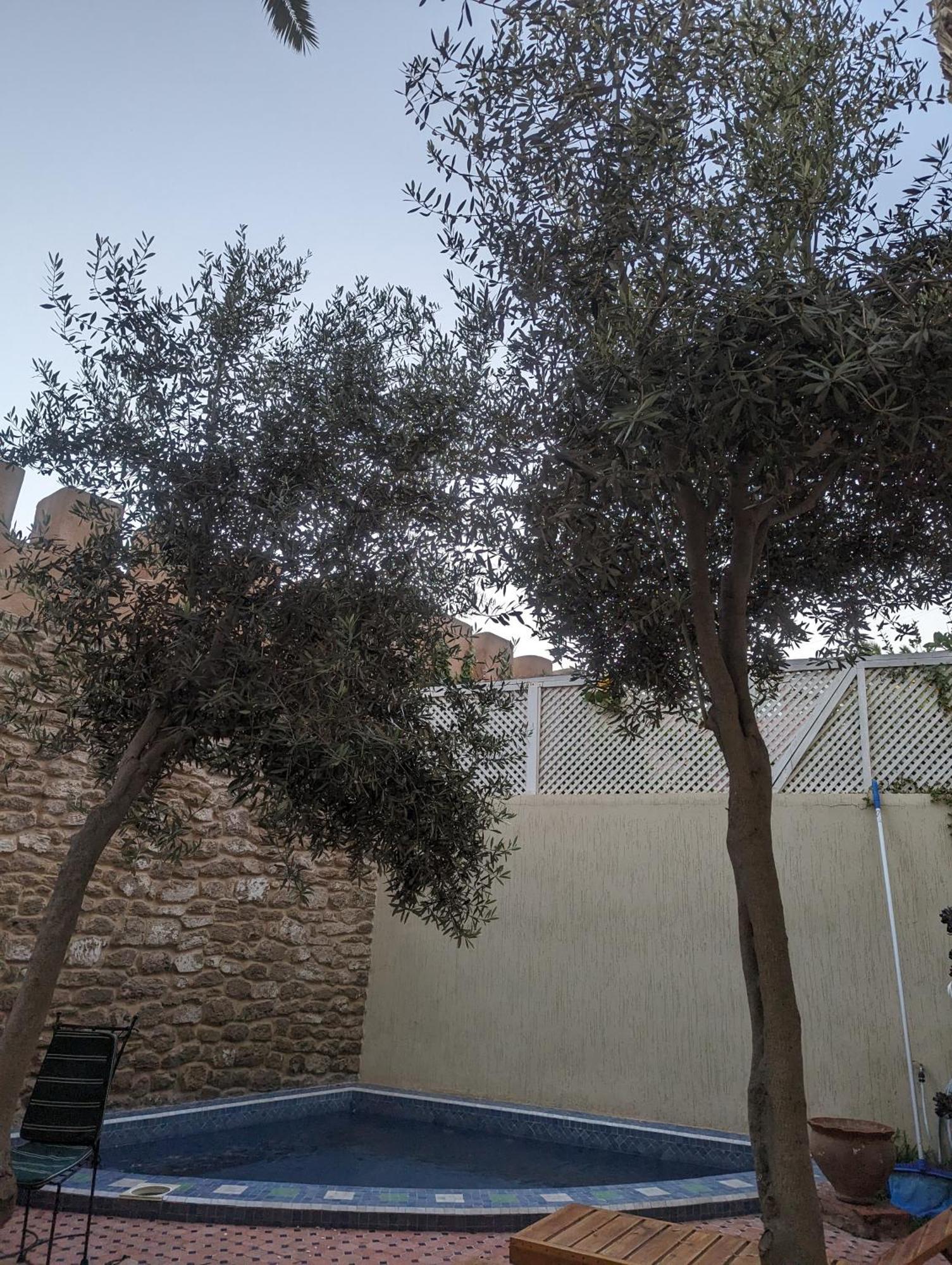 Aghata Palms Riad 索维拉 外观 照片