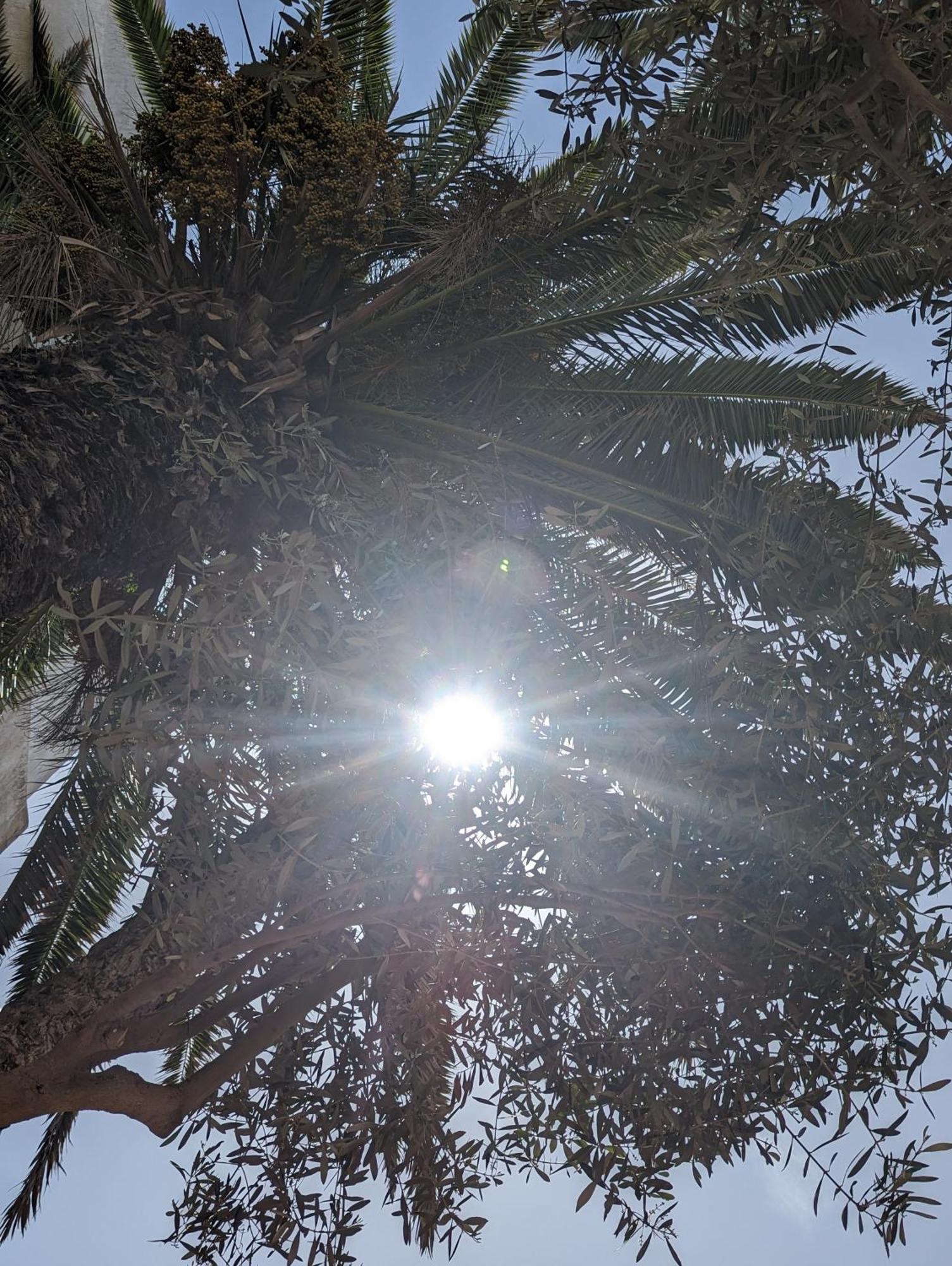 Aghata Palms Riad 索维拉 外观 照片